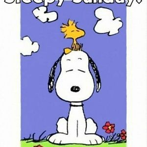 Meet your Posher, Bobbi